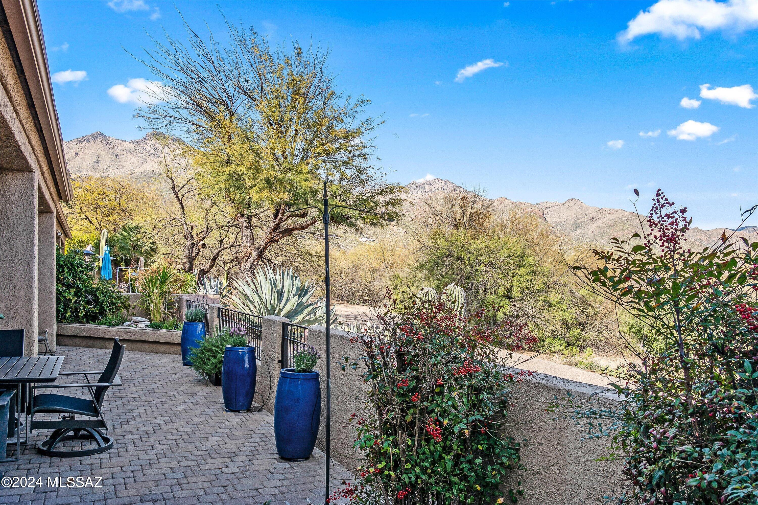 6020 N Coatimundi Drive