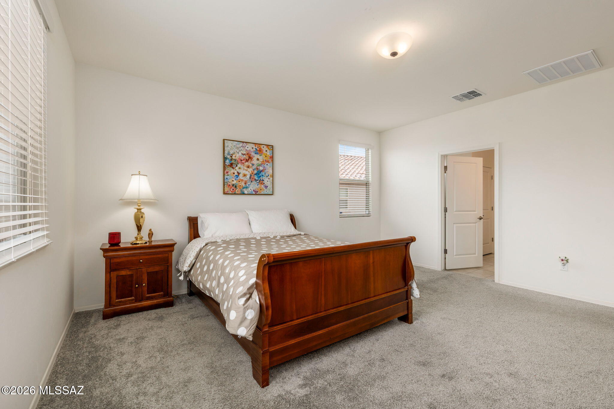 8686 N Calle La Canoa