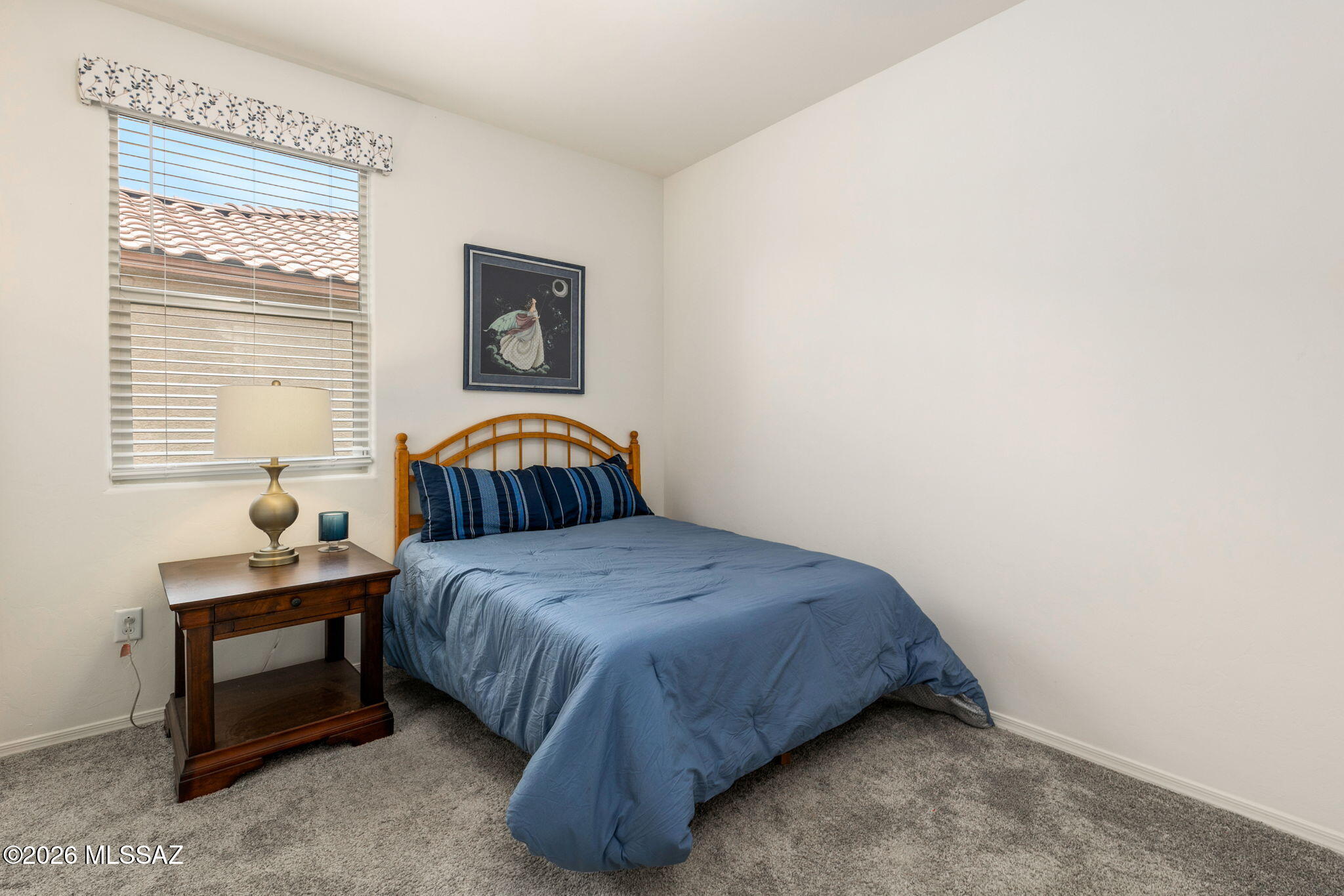 8686 N Calle La Canoa