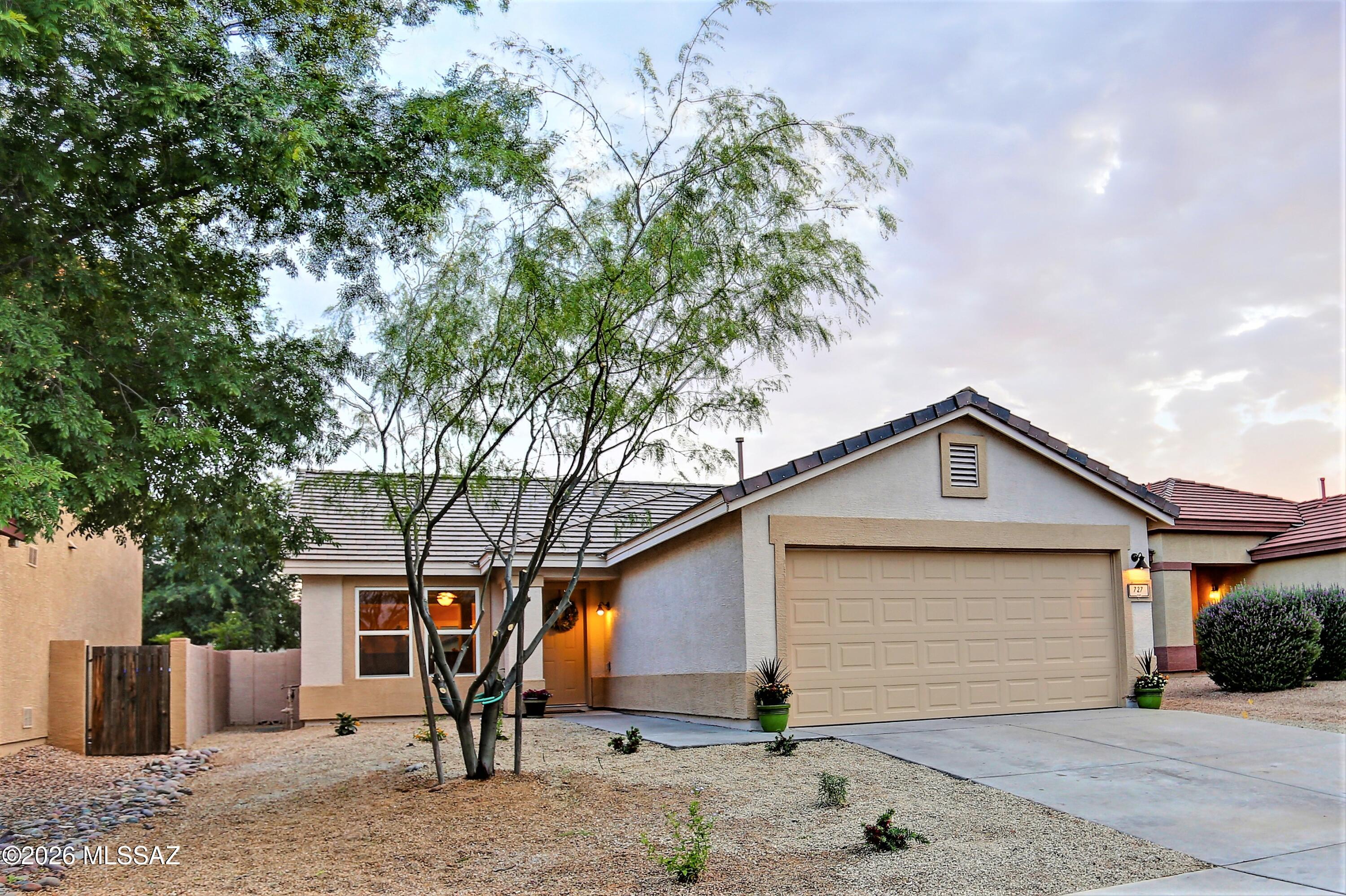 727 W Buffalo Grass