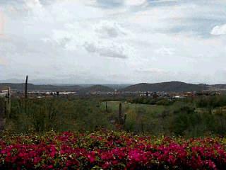 6390 N Canon Del Pajaro