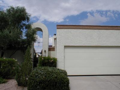 6924 S Placita Colotlan