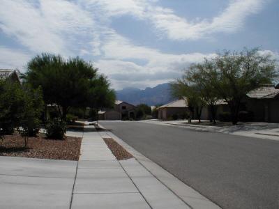 1890 W Serenade Street