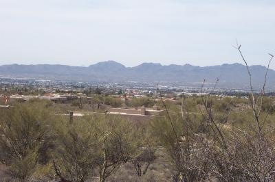 7398 N Mystic Canyon Drive