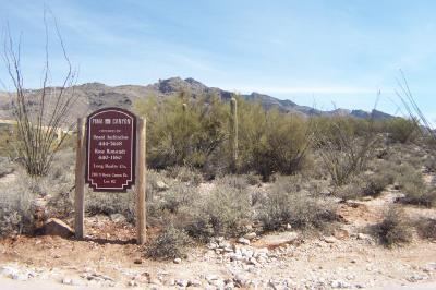 7398 N Mystic Canyon Drive