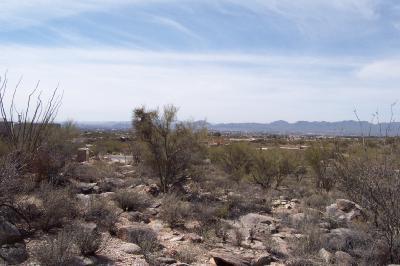 7398 N Mystic Canyon Drive