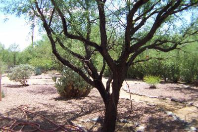 4285 N Homestead Avenue