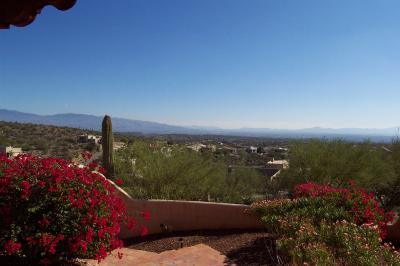 6290 N PASEO VALDEAR