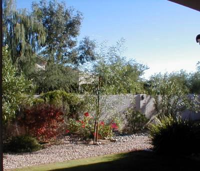 9870 N Spanish Head Trail