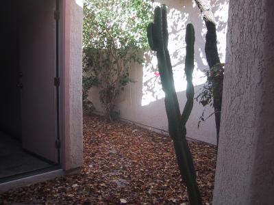 8776 N Arnold Palmer Drive