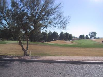 8776 N Arnold Palmer Drive