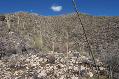 6822 N Hole in the wall Way