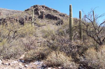 6701 N Hole in the Wall Way