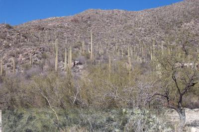 6701 N Hole in the Wall Way