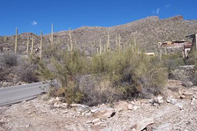 6701 N Hole in the Wall Way