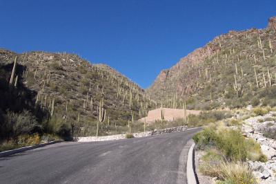 7061 E Eagle Point Drive