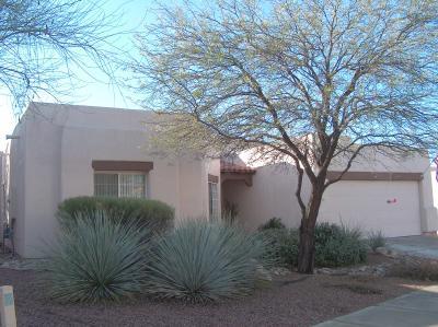 568 N Squirrel Tail Drive