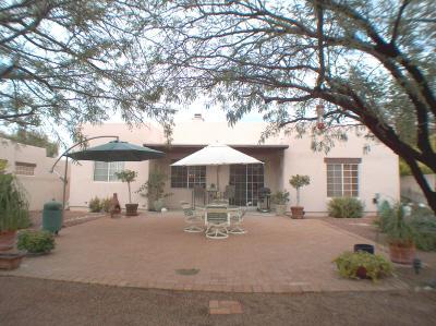 568 N Squirrel Tail Drive