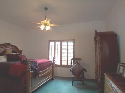 568 N Squirrel Tail Drive