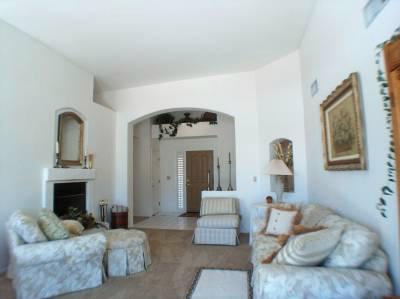 568 N Squirrel Tail Drive