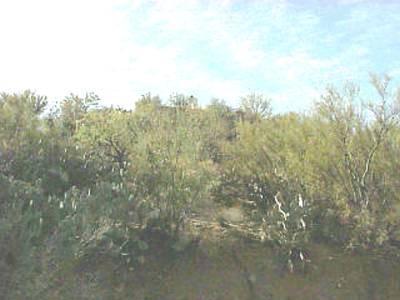 945 W Valle Del Oro Road