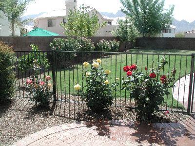 12540 N Forest Lake Way