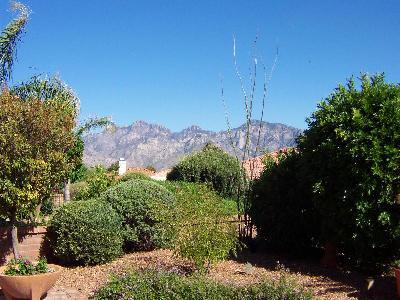 1014 E Coachwood Drive