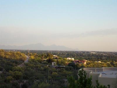 4062 N Painted Quail Drive