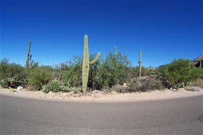 7679 N Canyon Spirit Way