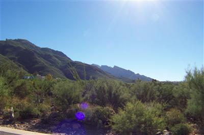 7679 N Canyon Spirit Way