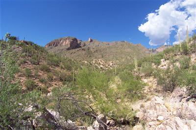 7358 N SECRET CANYON Drive