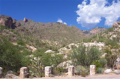 7358 N SECRET CANYON Drive