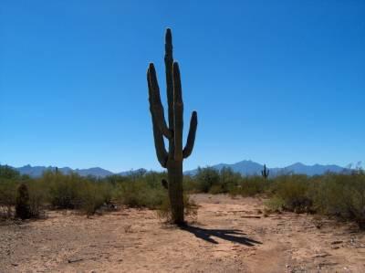 6400 E Via Esperanza Del Sol