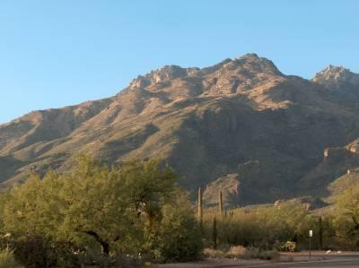 4938 N Sabino Gulch Court