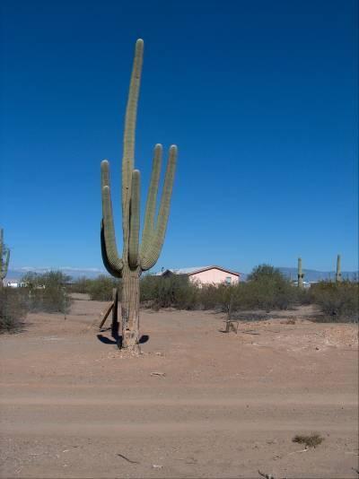 6507 E Via Esperanza Del Sol