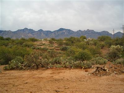 16269 N Silverthorn Road