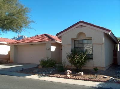 721 W Mountain Ridge Drive