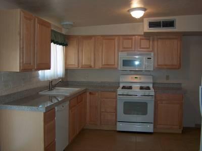 421 E Catalina Shadows Boulevard