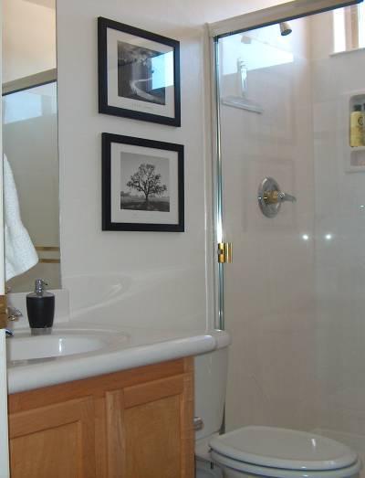 244 W Sacaton Canyon Drive