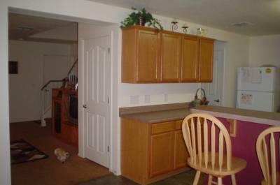 1240 W Camino Mesa Sonorense Drive