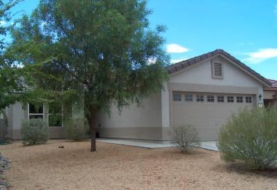 727 W Buffalo Grass Drive