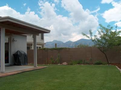 727 W Buffalo Grass Drive