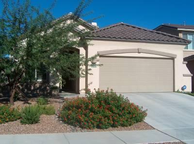 12992 N Salt Cedar Drive