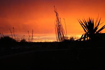 14011 N Old Forest Trail