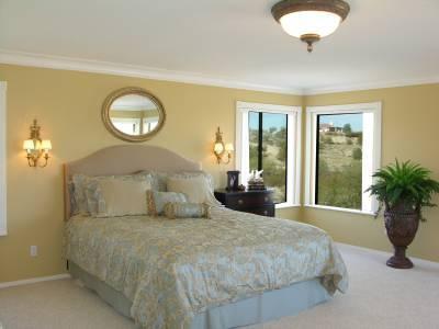 4476 W Desert Zinnia Drive