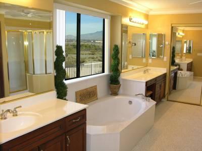 4476 W Desert Zinnia Drive