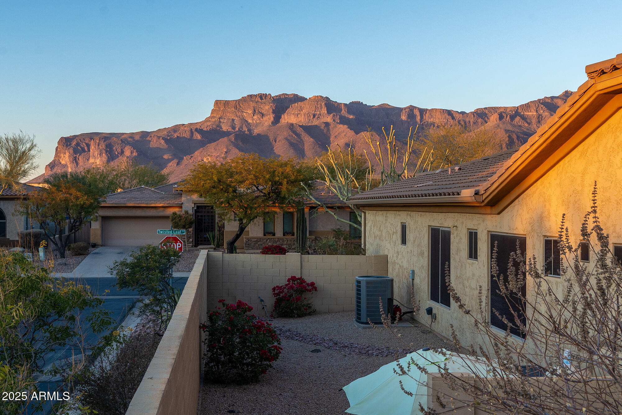 8531 E TWISTED LEAF Drive