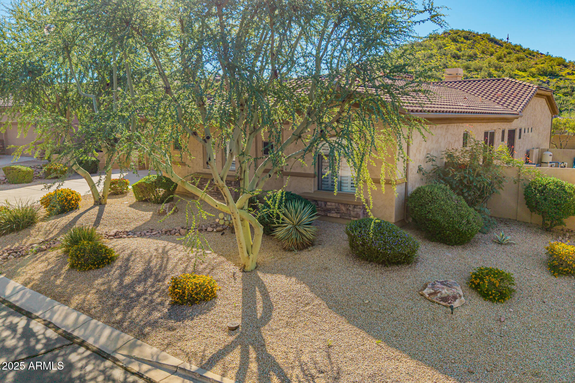 8531 E TWISTED LEAF Drive