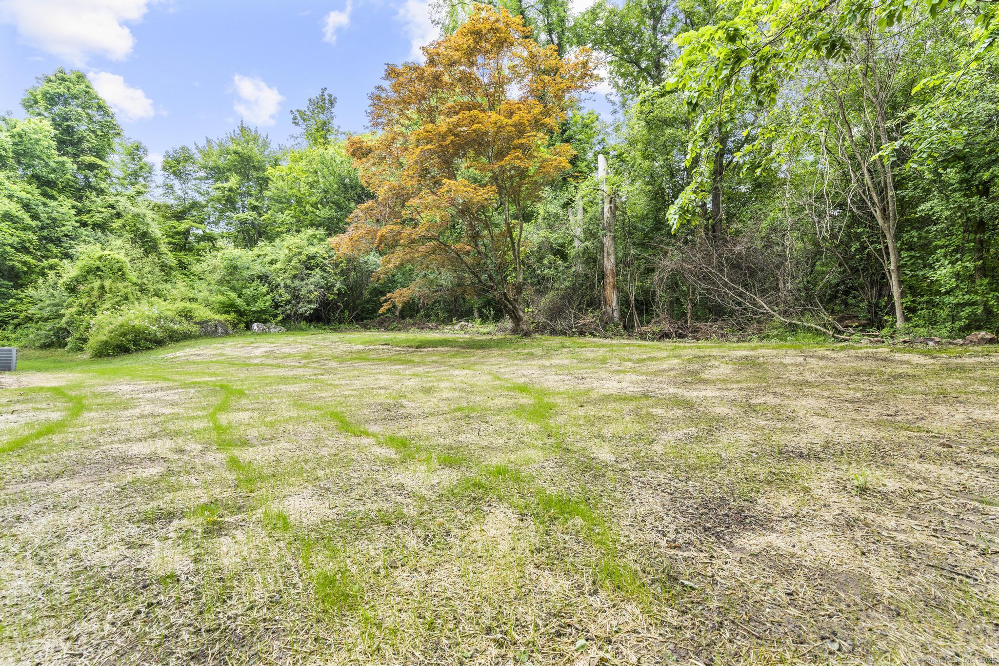 14 Pine Tree Lane