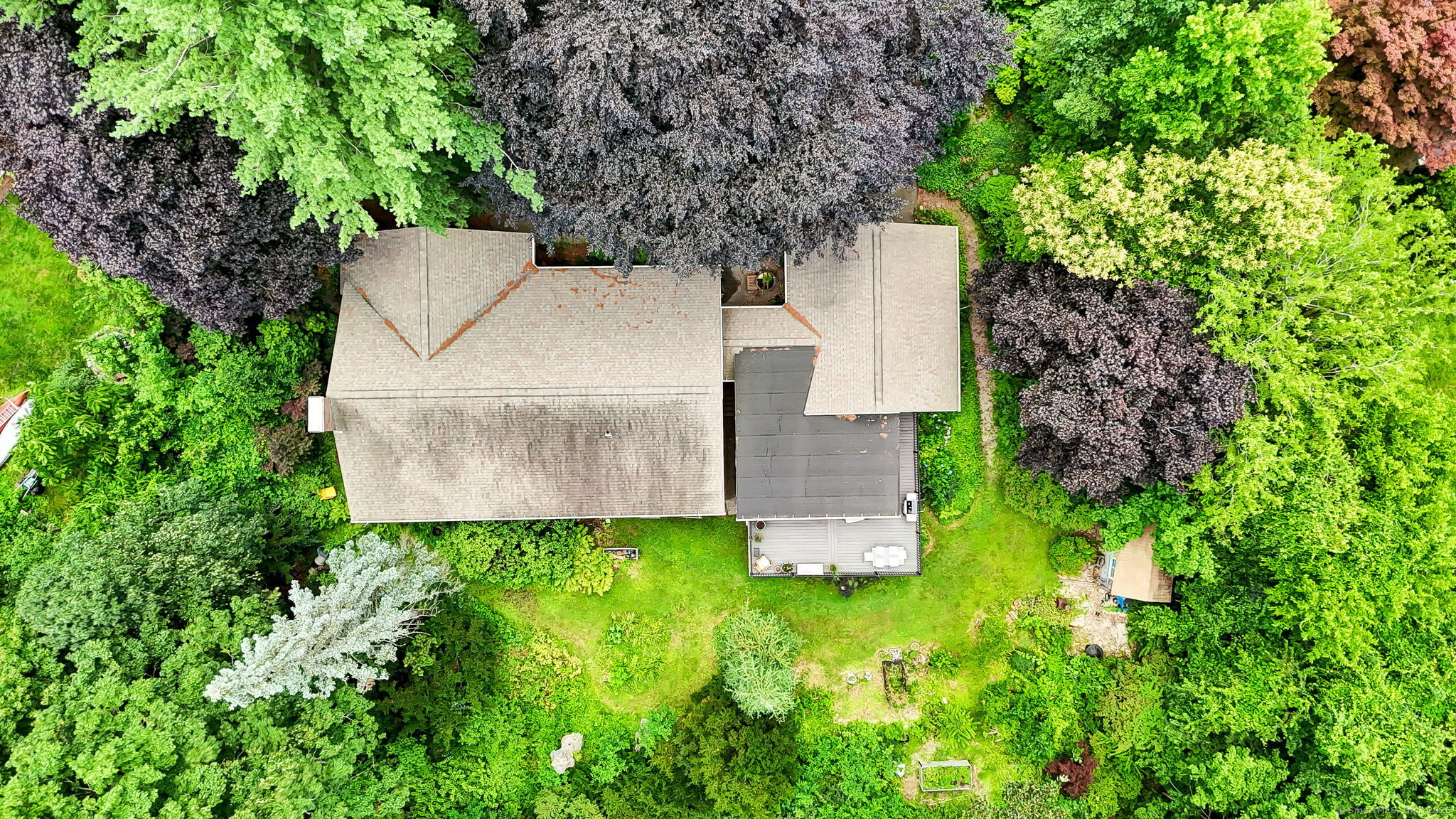 206 Ellwood Road